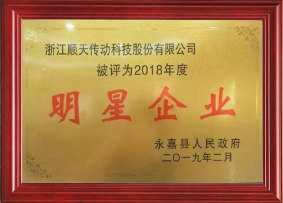2018年度明星企业