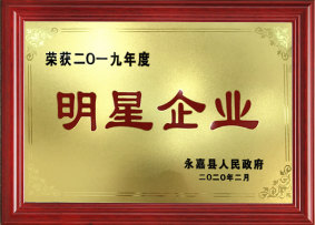2019年度明星企业