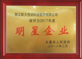2017年度明星企业